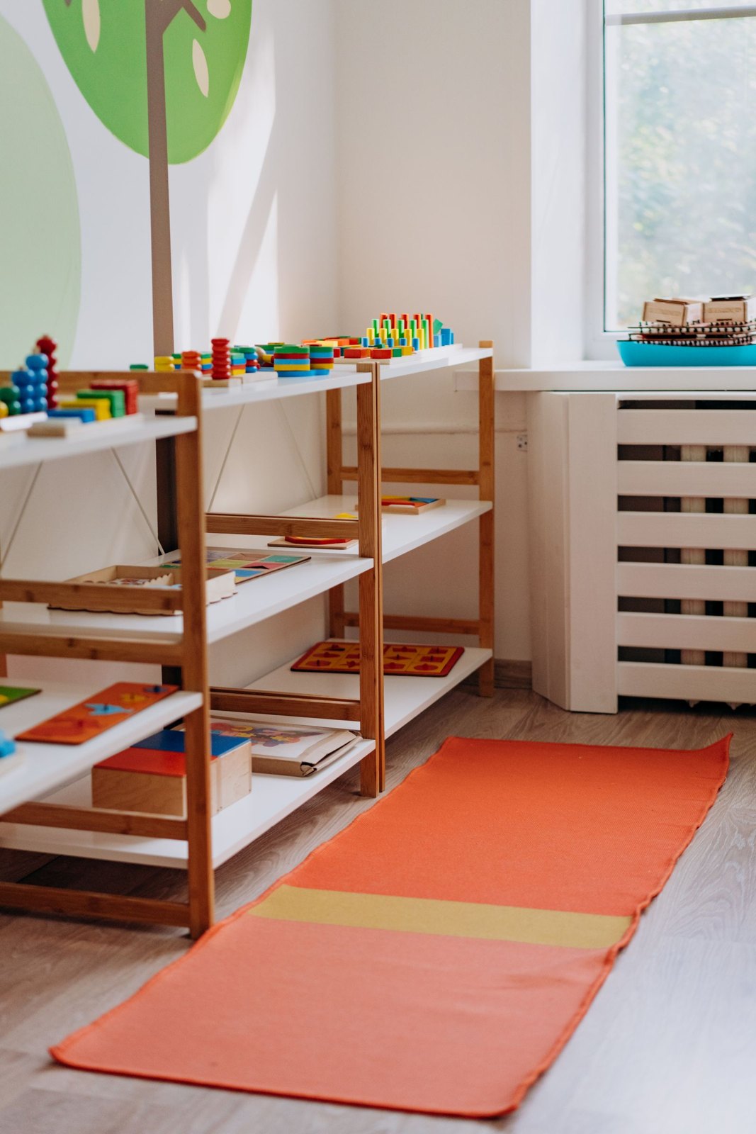 Educational toys on shelves